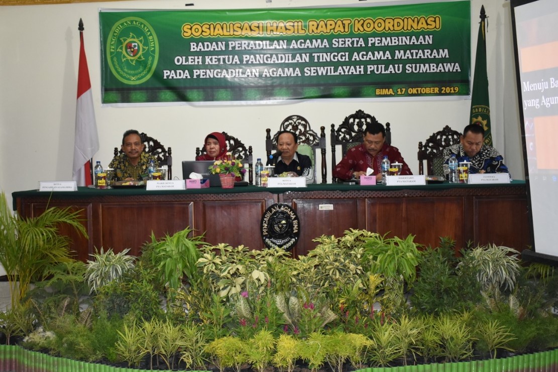 sosialiasasi